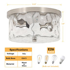 2-Light Flush Mount Ceiling Light with Clear Hammered Glass