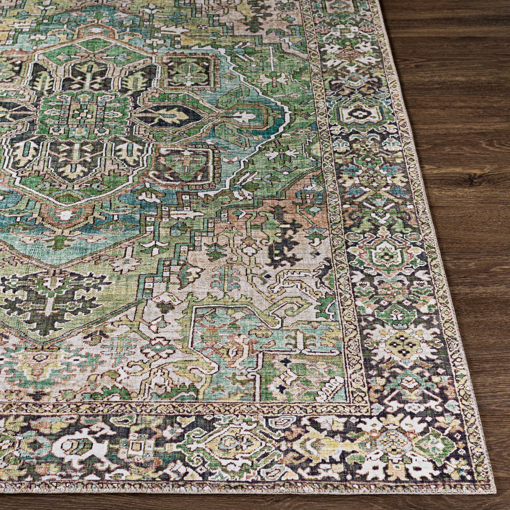 Livabliss Adenia Vintage Medallion Printed Area Rug