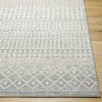 Livabliss Edie Bohemian Geometric Area Rug