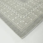 Carew Transitional Border Indoor/Outdoor Area Rug