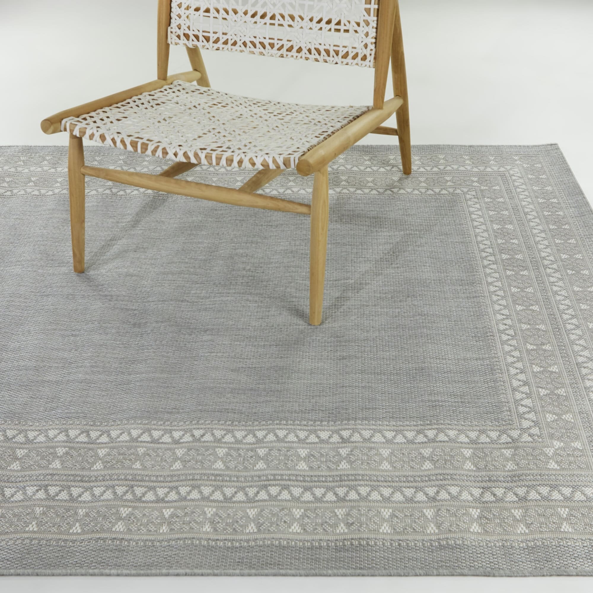 Carew Transitional Border Indoor/Outdoor Area Rug