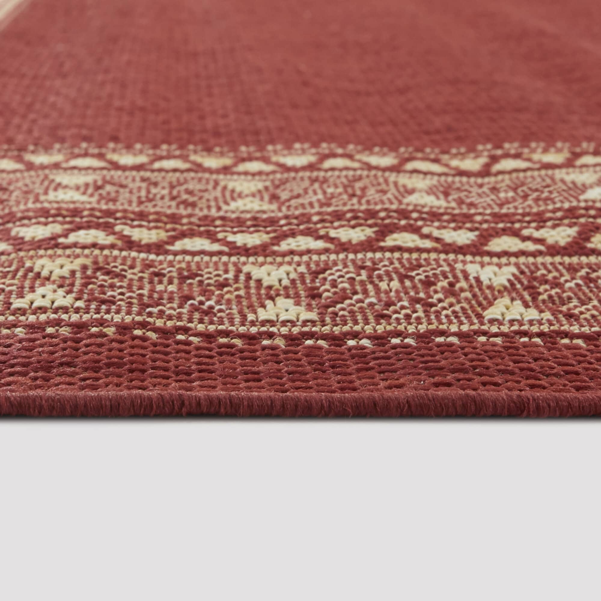 Carew Transitional Border Indoor/Outdoor Area Rug