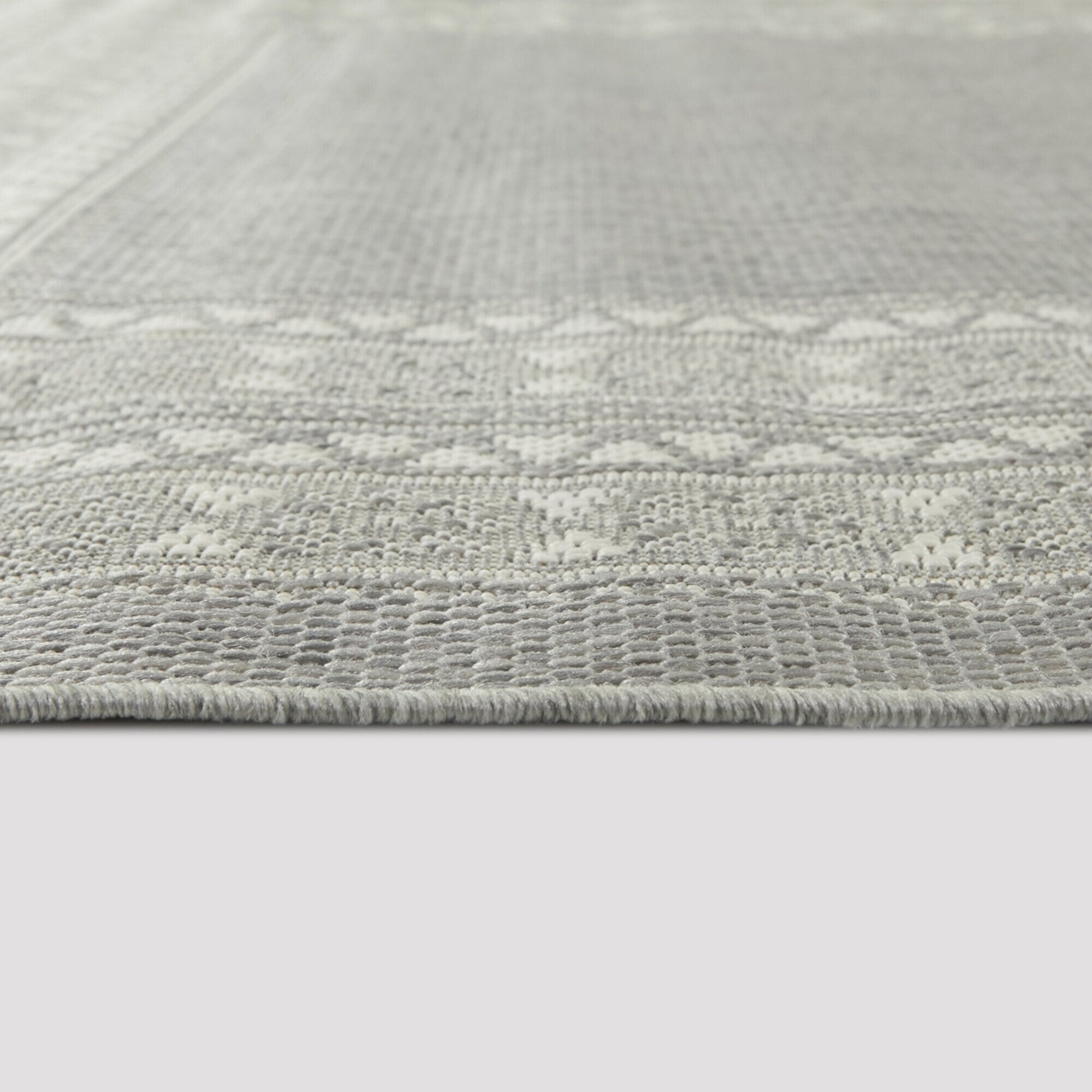 Carew Transitional Border Indoor/Outdoor Area Rug