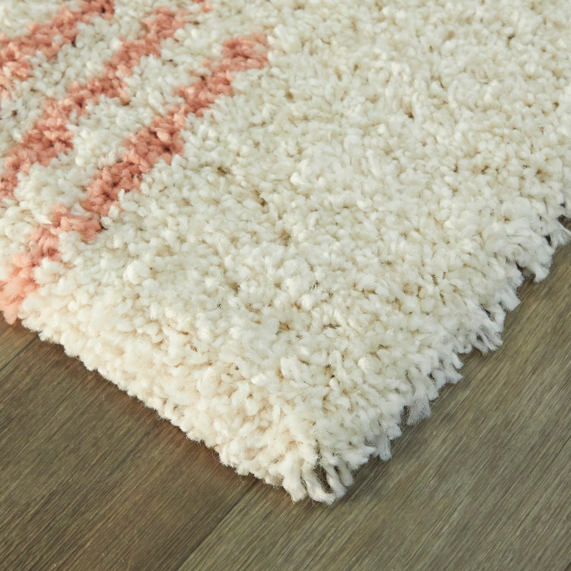 Carson Shag Area Rug