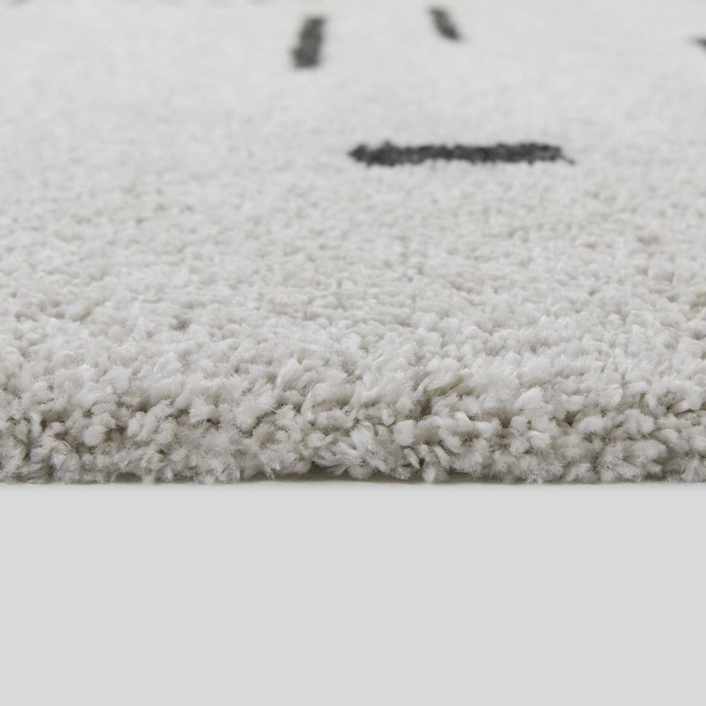 Carson Shag Area Rug