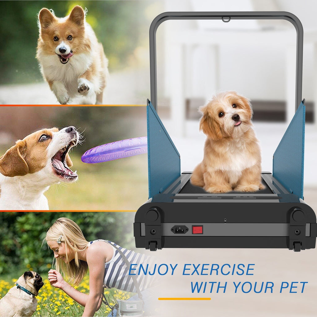 Dog Treadmill with LED Display
