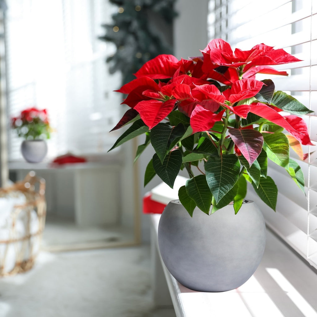 DreamPatio Riverside Fiberstone Modern Sphere Planter for Indoor/Outdoor