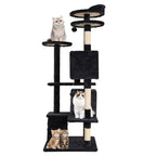 Furniture of America Cat Tree Multi-Level Cat Tower with Ladder, Platforms and Condos