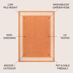 JONATHAN Y Havana Classic Diamond Border Indoor/Outdoor Area Rug