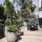 DreamPatio La Mirada 1-piece Fiberstone Tapered Planter for Indoor/Outdoor