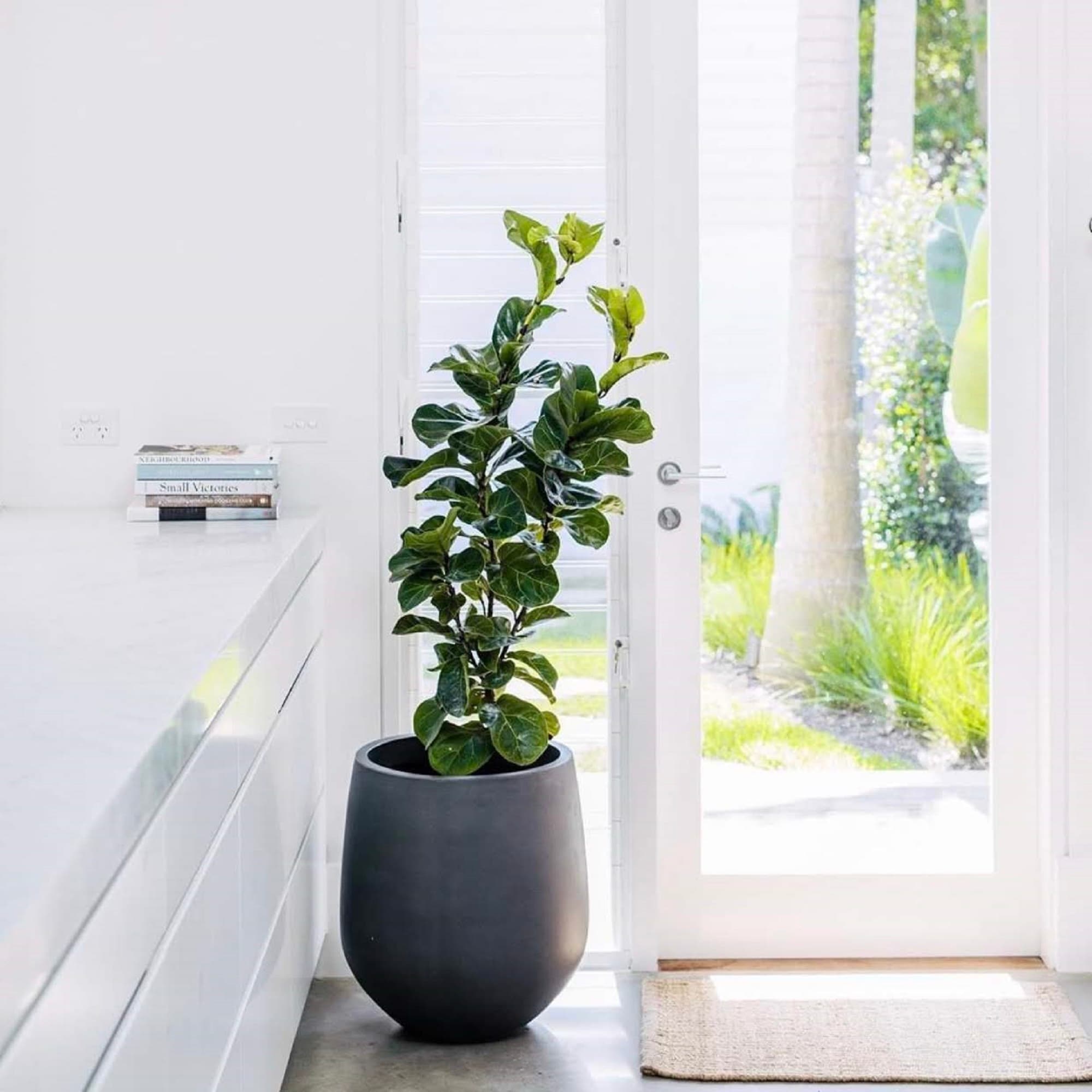 DreamPatio La Mirada 1-piece Fiberstone Tapered Planter for Indoor/Outdoor