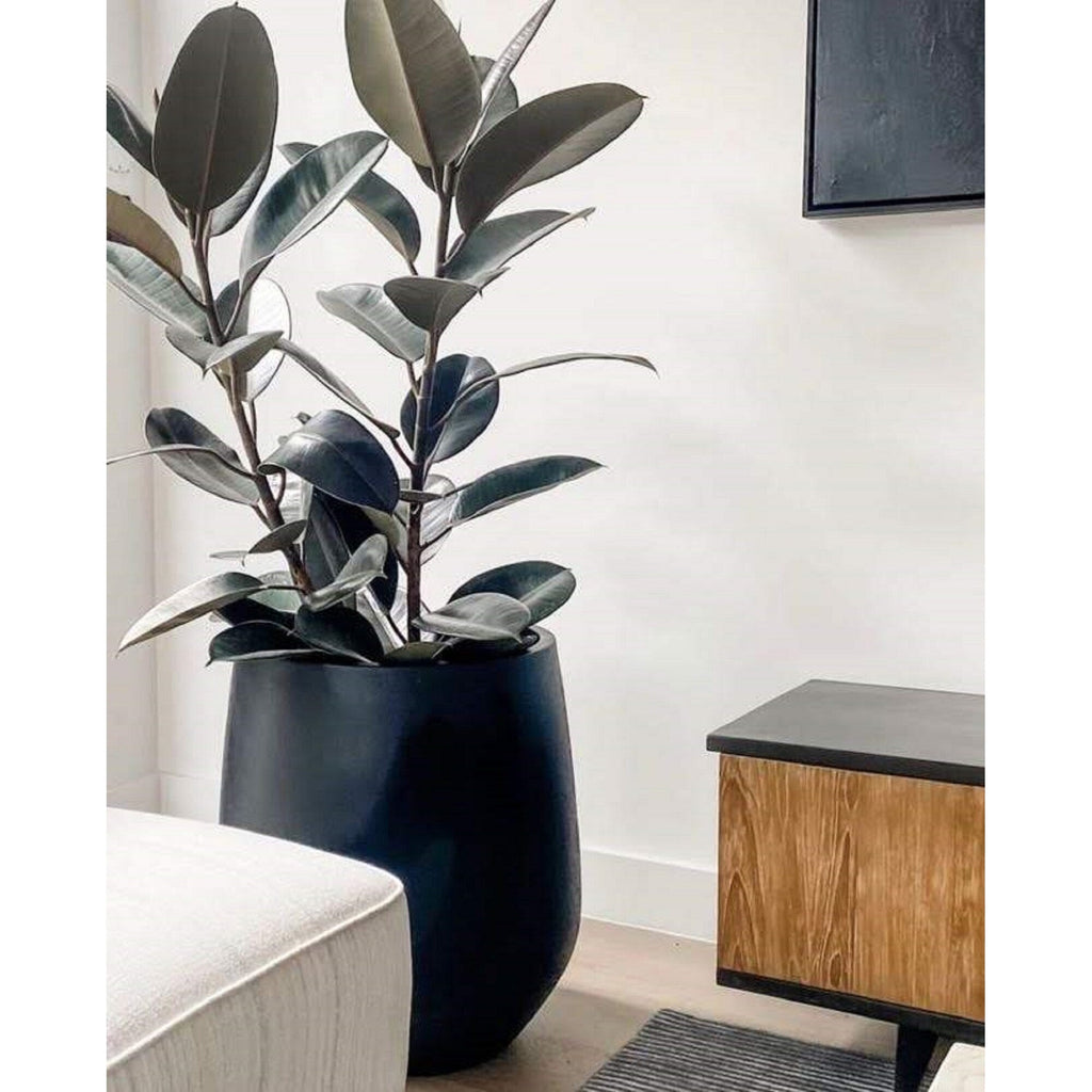 DreamPatio La Mirada 1-piece Fiberstone Tapered Planter for Indoor/Outdoor