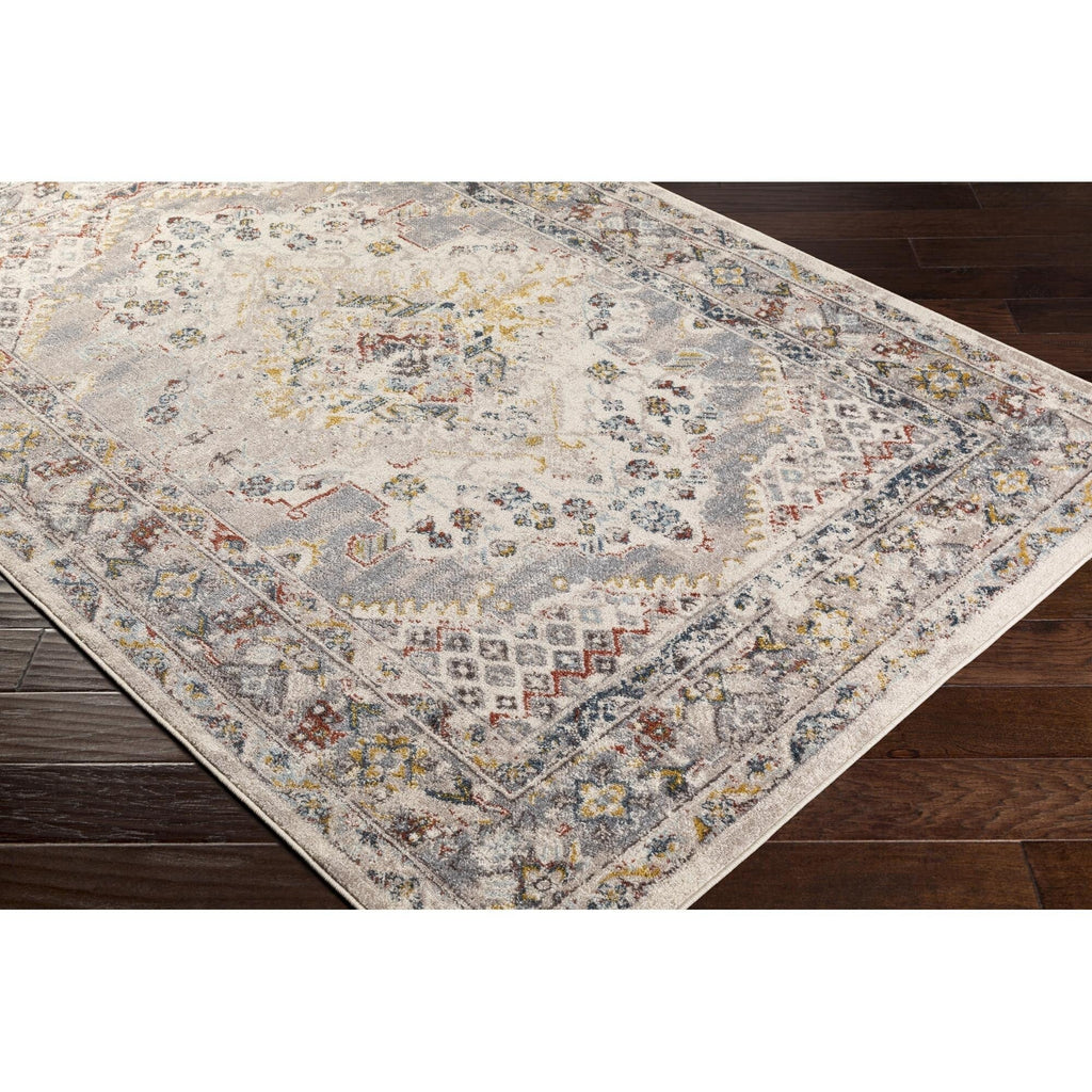 Livabliss Ankara Updated Traditional Medallion Area Rug