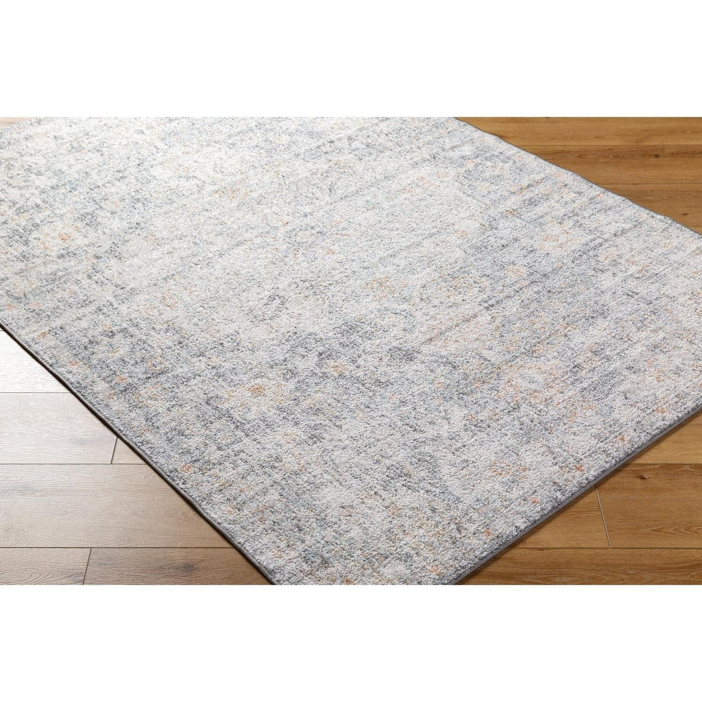 Livabliss Caressa Vintage Boho Area Rug