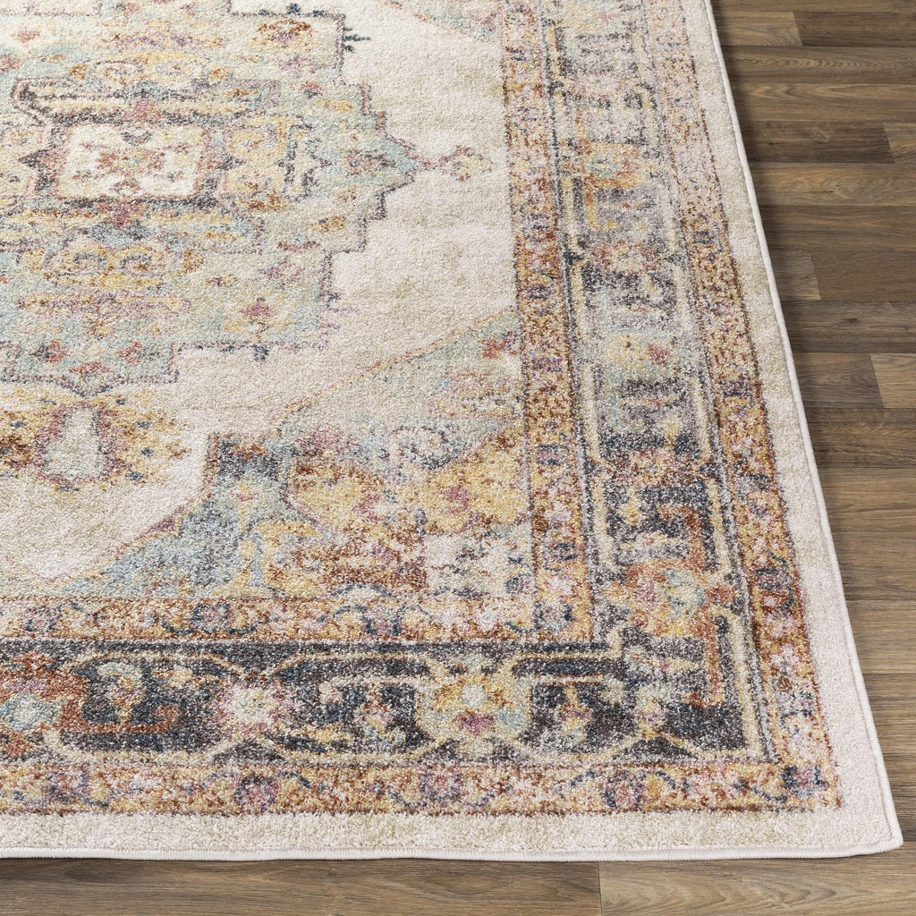 Livabliss New Mexico Updated Traditional Medallion Area Rug