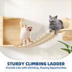 Moasis Cat Wall Shelves Set Wall Mounted Wood Cat Climber Set