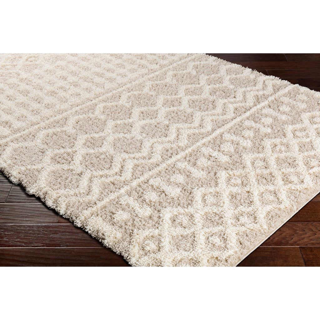 Livabliss Newton Geometric Moroccan Trellis Shag Area Rug
