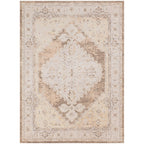Nourison Abby Machine Washable Indoor only Persian Distressed Area Rug