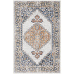 Nourison Abby Machine Washable Indoor only Persian Distressed Area Rug