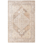 Nourison Abby Machine Washable Indoor only Persian Distressed Area Rug