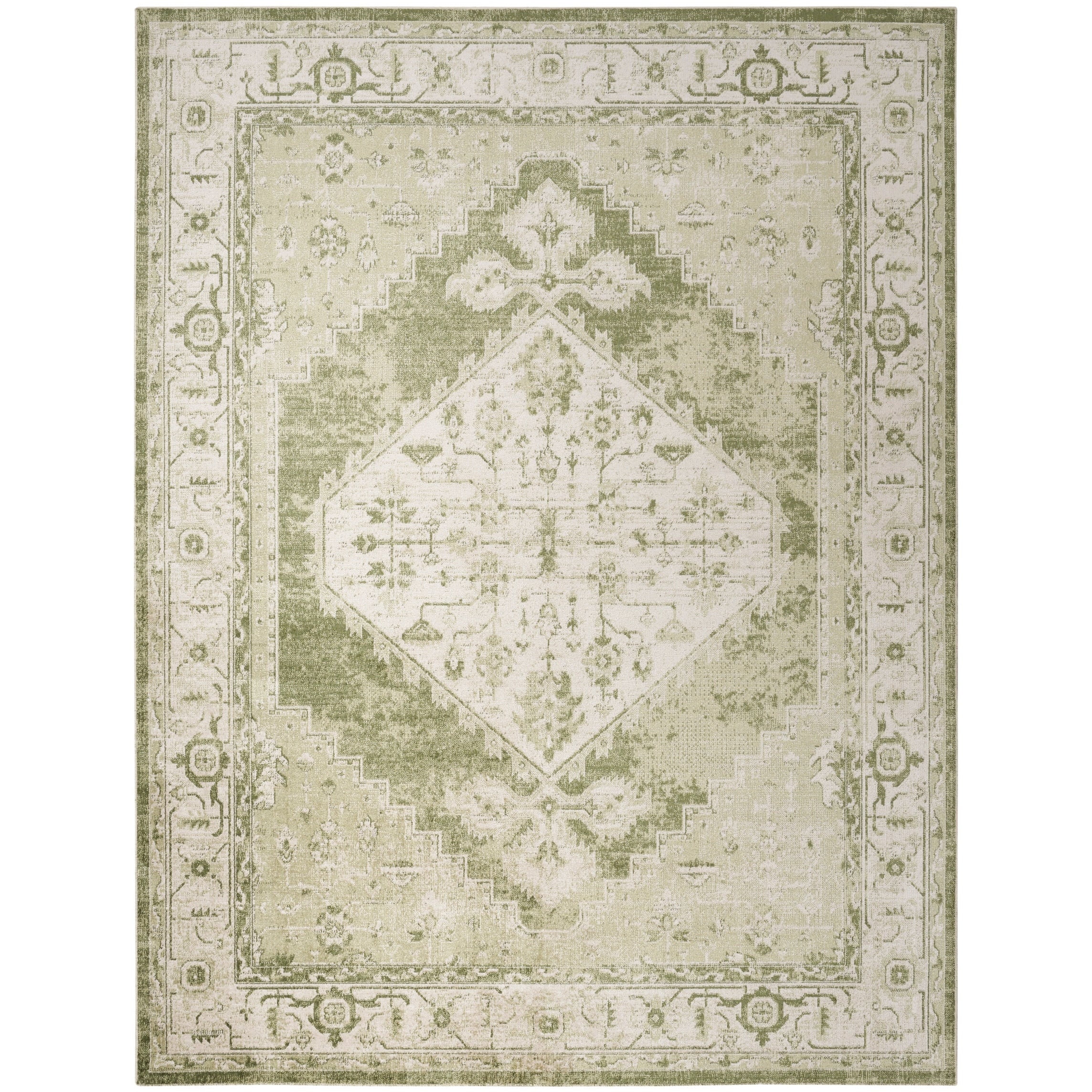 Nourison Abby Machine Washable Indoor only Persian Distressed Area Rug
