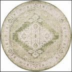 Nourison Abby Machine Washable Indoor only Persian Distressed Area Rug