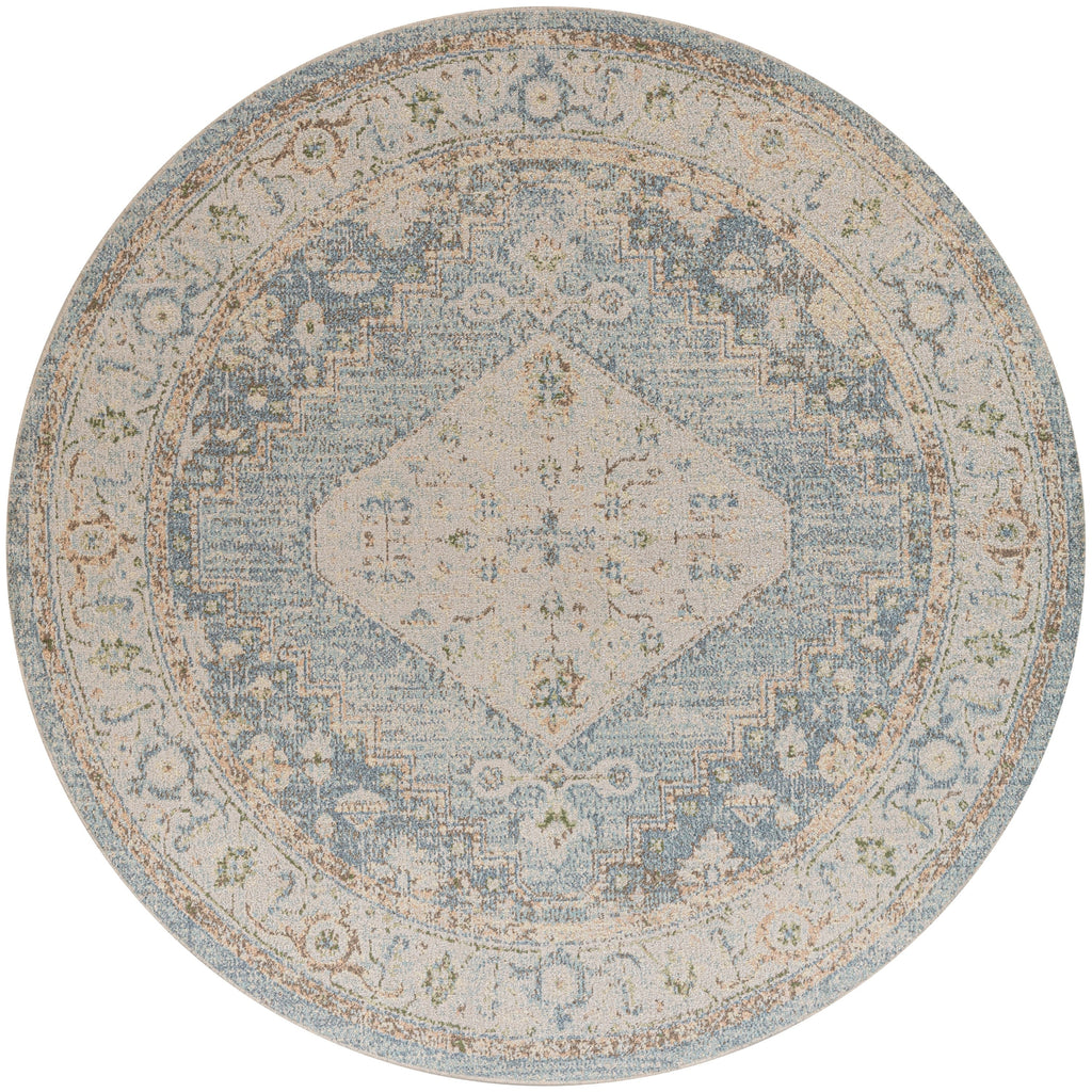Nourison Abby Machine Washable Indoor only Persian Distressed Area Rug