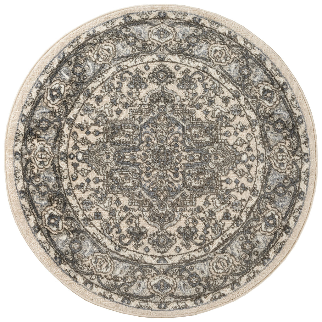 Nourison Concerto Classic Persian Medallion Area Rug.
