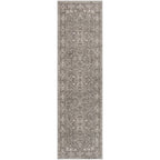 Nourison Concerto Classic Persian Medallion Area Rug.