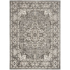 Nourison Concerto Classic Persian Medallion Area Rug.