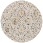Nourison Oushak Home Indoor Persian Area Rug