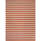 Nourison Selerno Indoor/Outdoor Striped Area Rug.