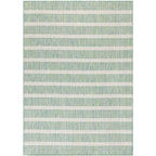 Nourison Selerno Indoor/Outdoor Striped Area Rug.