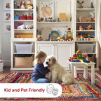 Nuloom Tammara Bohemian Hand Braided Area Rug