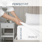Pointehaven Deep Pocket 620 Thread Count Long Staple Cotton Sheet Set