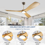 Remote Ceiling Fan with Lights Flush Mount