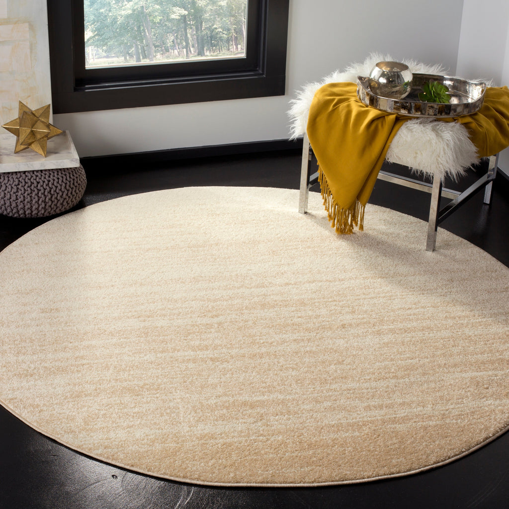 SAFAVIEH Adirondack Mieko Modern Ombre Distressed Area Rug