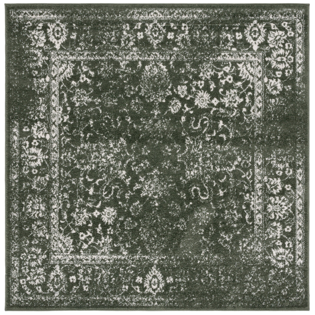 SAFAVIEH Adirondack Riin Rustic Shabby Chic Distressed Rug