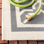 SAFAVIEH Courtyard Thomasina Indoor/ Outdoor Waterproof Patio Backyard Rug