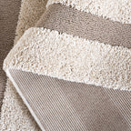 SAFAVIEH Florida Shag Antigoni Border 1.2-inch Thick Rug