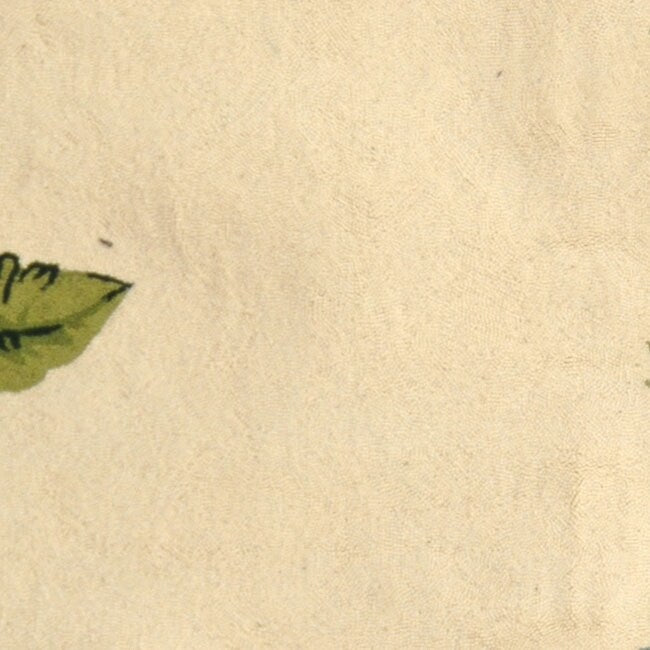 SAFAVIEH Handmade Chelsea Margrieta French Country Wool Rug