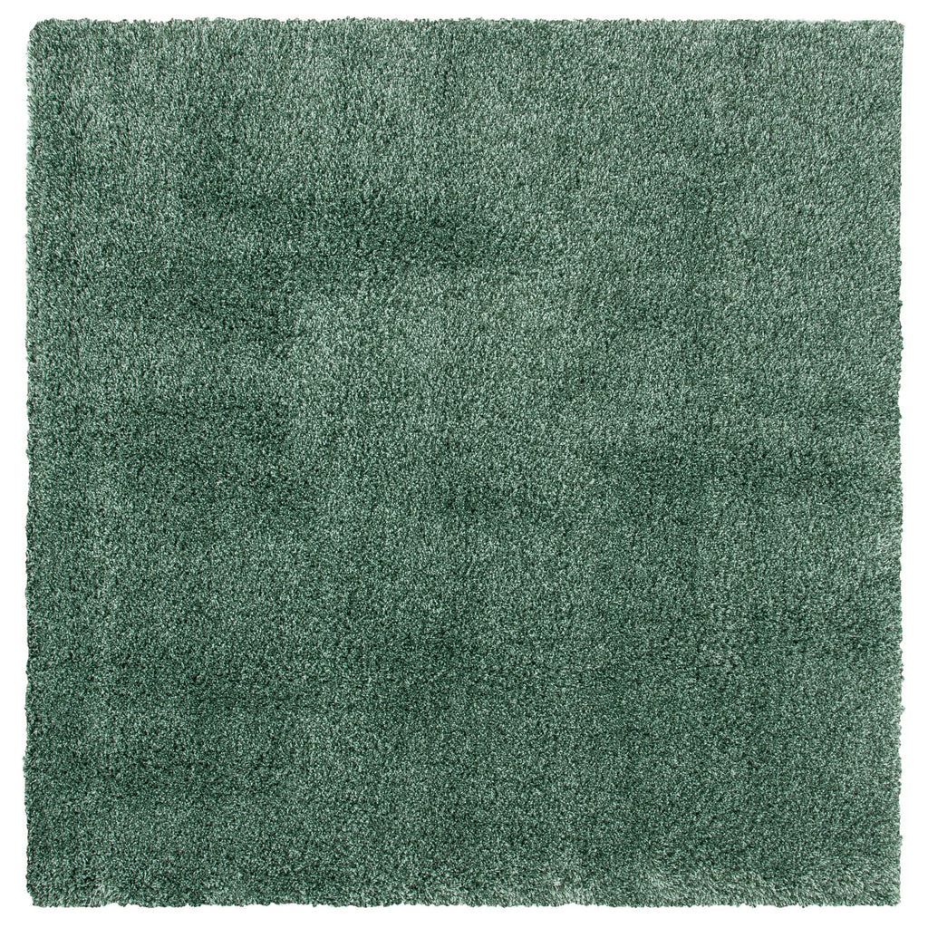 SAFAVIEH Hudson Shag Debi 2-inch Thick Rug