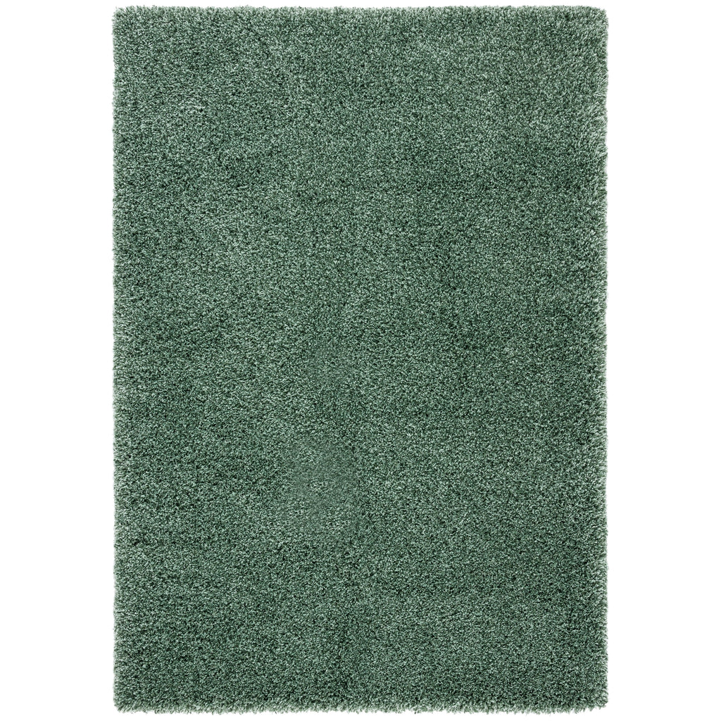 SAFAVIEH Hudson Shag Debi 2-inch Thick Rug