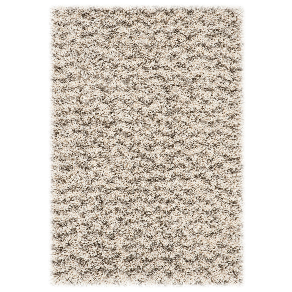 SAFAVIEH Hudson Shag Kirti 2-inch Thick Rug