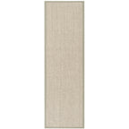 SAFAVIEH Natural Fiber Evia Sisal & Wool Rug