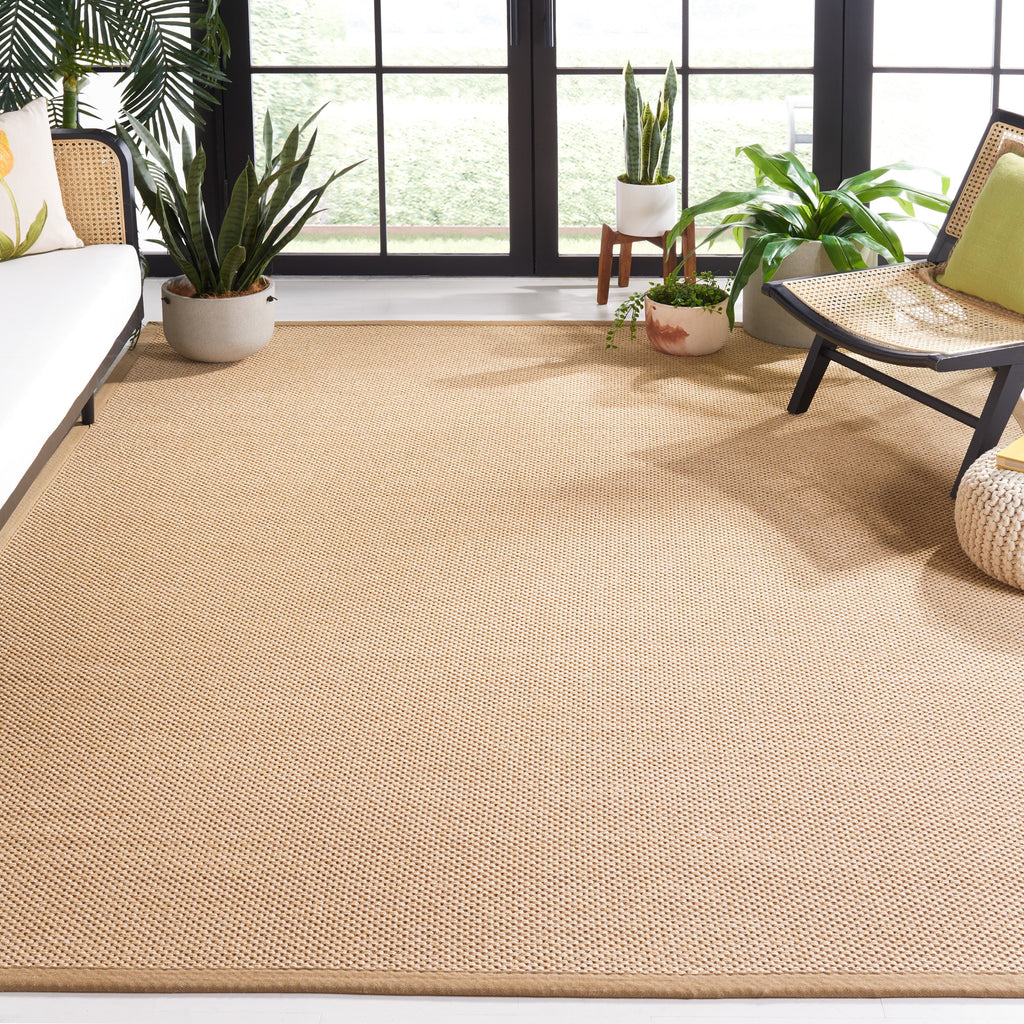 SAFAVIEH Natural Fiber Venus Casual Border Sisal Rug