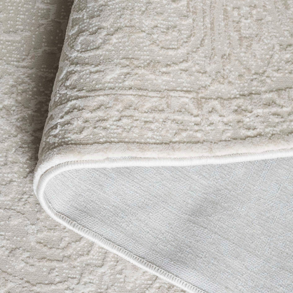 SAFAVIEH Reflection Elzada Oriental Rug