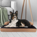 Tan/Black Pet Bed - 3-Layer Orthopedic Dog Sofa with Cooling Gel, Memory Foam and Neck Bolster