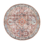 Traditional Distressed Machine Washable Area Rug