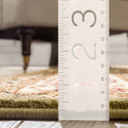 Well Woven Barclay Sarouk Oriental Persian Traditional Area Rug